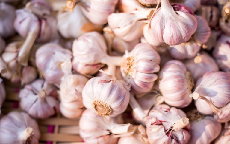 8 Steps for Great Garlic!