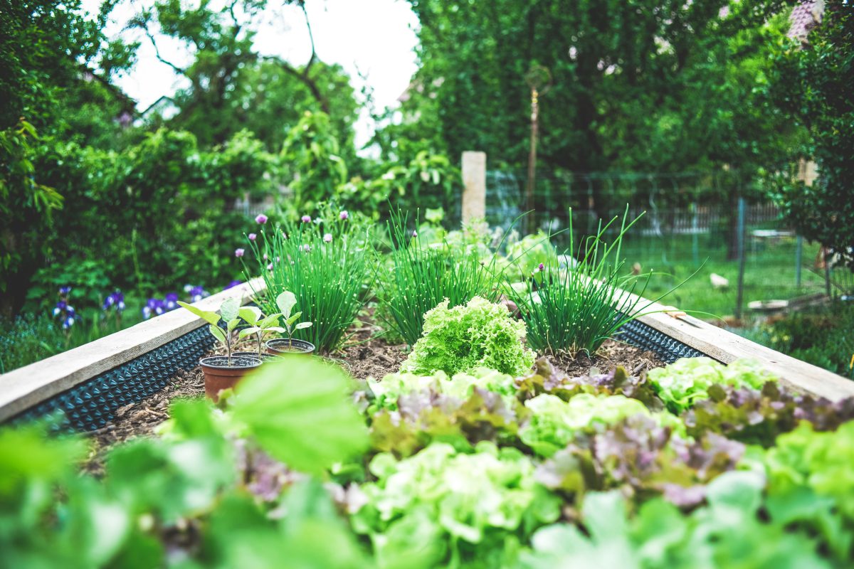 Outdoor garden bed