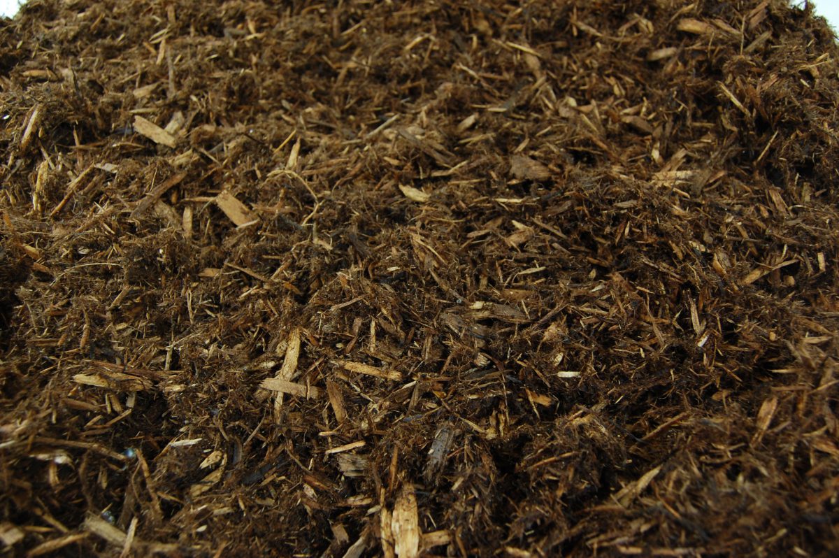 Cedar mulch